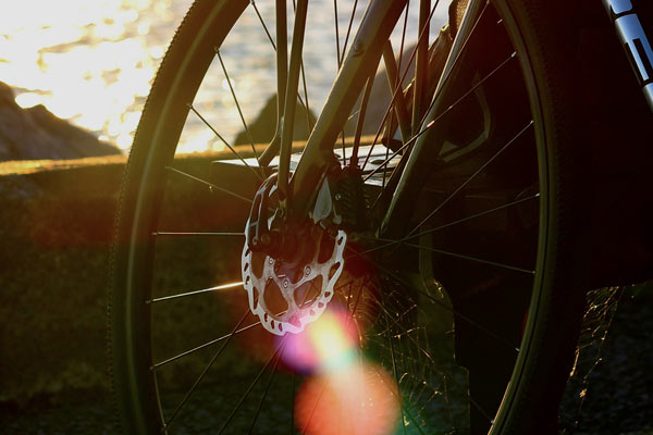 Bicycle Wheel